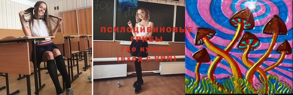а пвп мука Аркадак