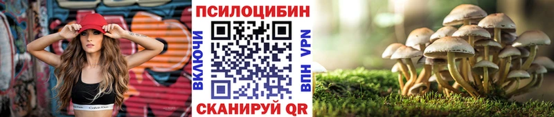 Галлюциногенные грибы мицелий  Светлоград 